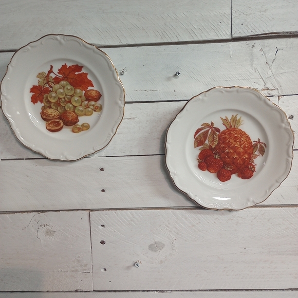 Set of 2 Vintage Fruit & Nut Designs Plates Winterling Roslau Bavaria Germany - Picture 1 of 10